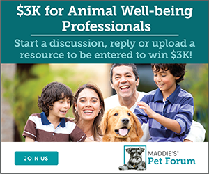 start a discussion, reply or upload a resource to be entered to win $3000 from Maddie's Fund