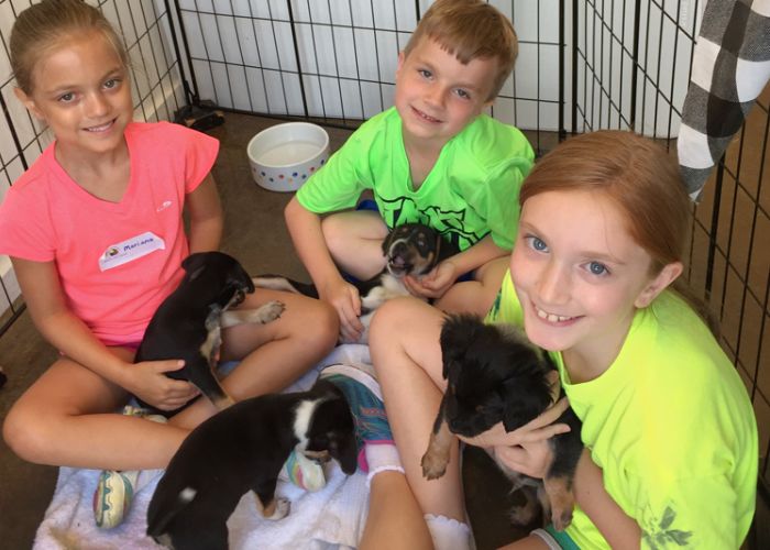 a group of children holding puppies